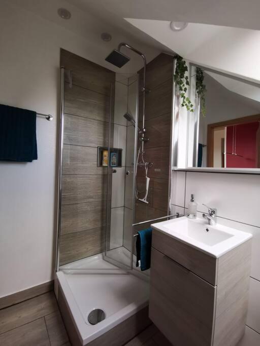 Studio Und Apartment Auf Dem Pferdehof Burgpreppach Kültér fotó