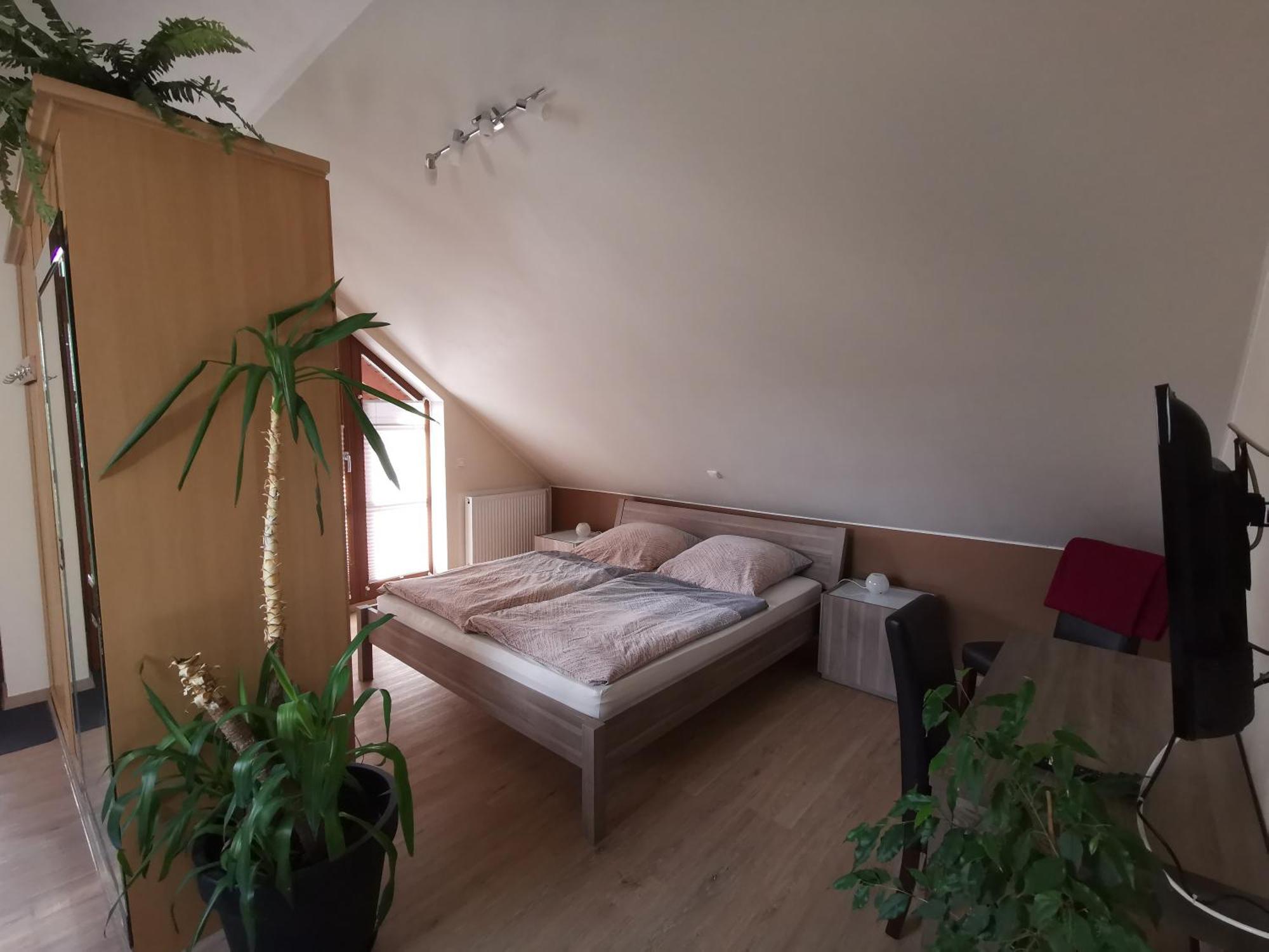 Studio Und Apartment Auf Dem Pferdehof Burgpreppach Kültér fotó