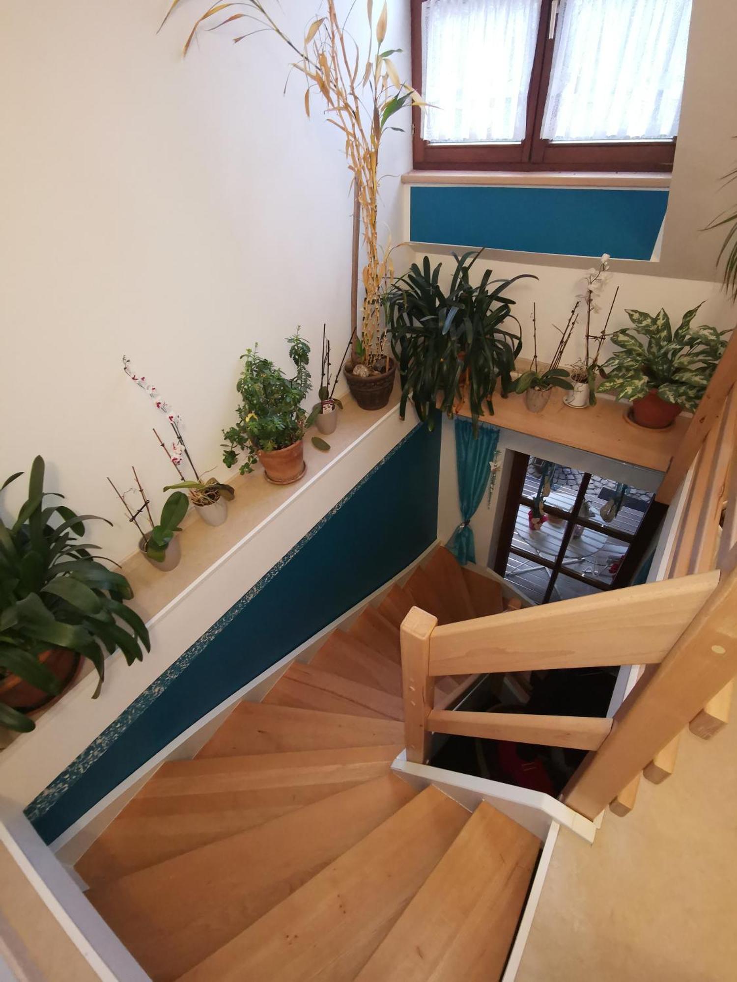 Studio Und Apartment Auf Dem Pferdehof Burgpreppach Kültér fotó